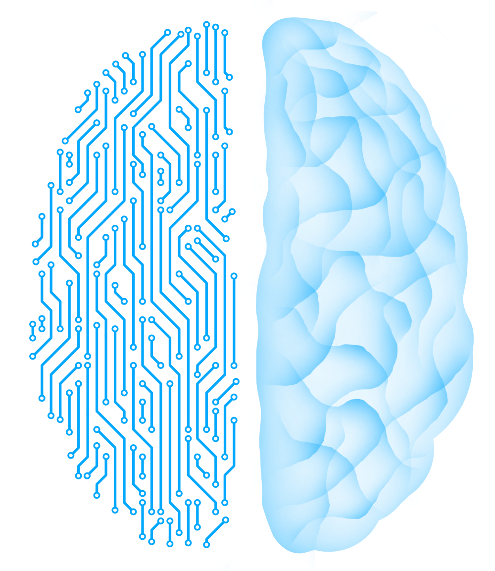 Digital and Media Literacy gives you the tools to spot misinformation, question bold claims, and evaluate sources with a critical eye.